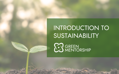 Introduction to Sustainability